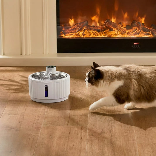 Automatic Water Fountain